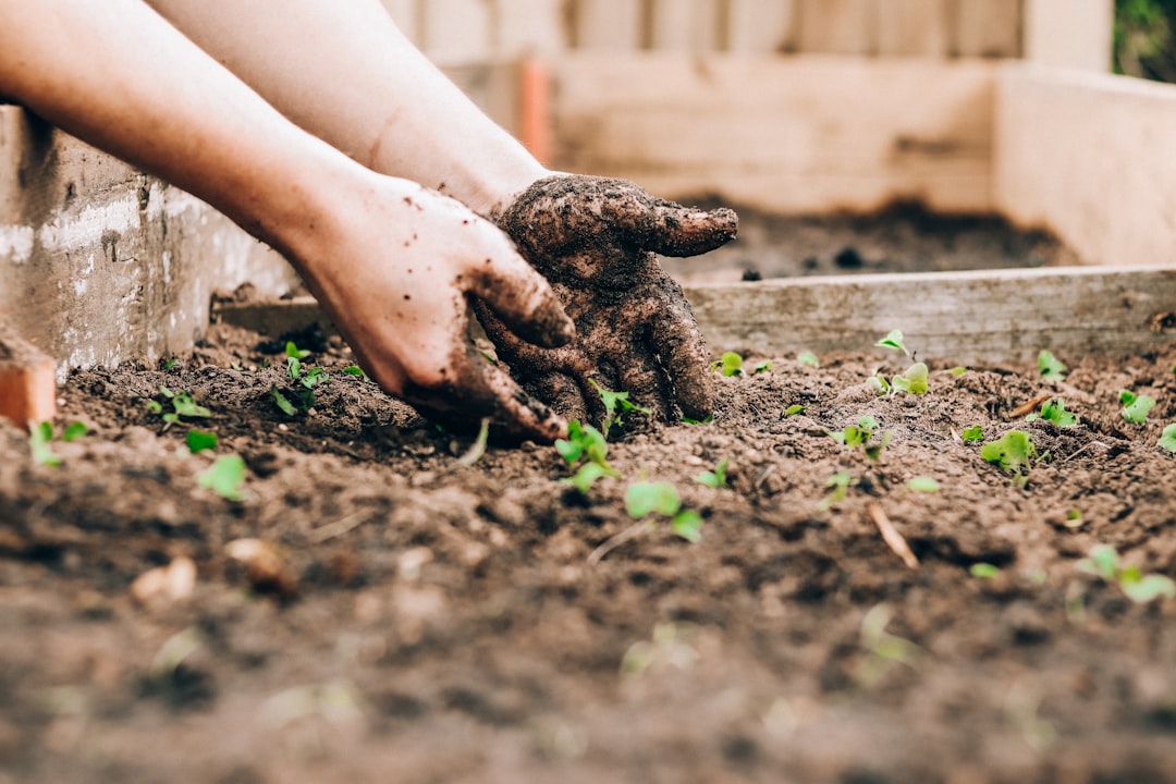 5 Common Mistakes with Potting Soil Mixes & Organic Feeding (And How to Avoid Them)