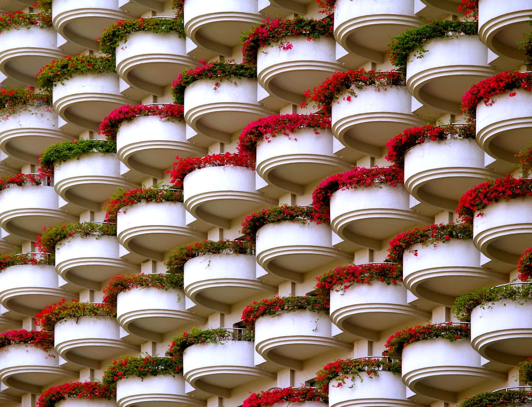 5 Common Mistakes with Vertical Planters & Trellis Setup (And How to Avoid Them)