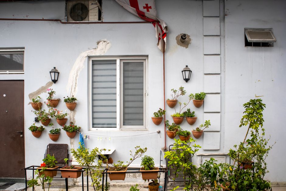 Common Myths About Vertical Planters & Trellis Setup I Stopped Believing