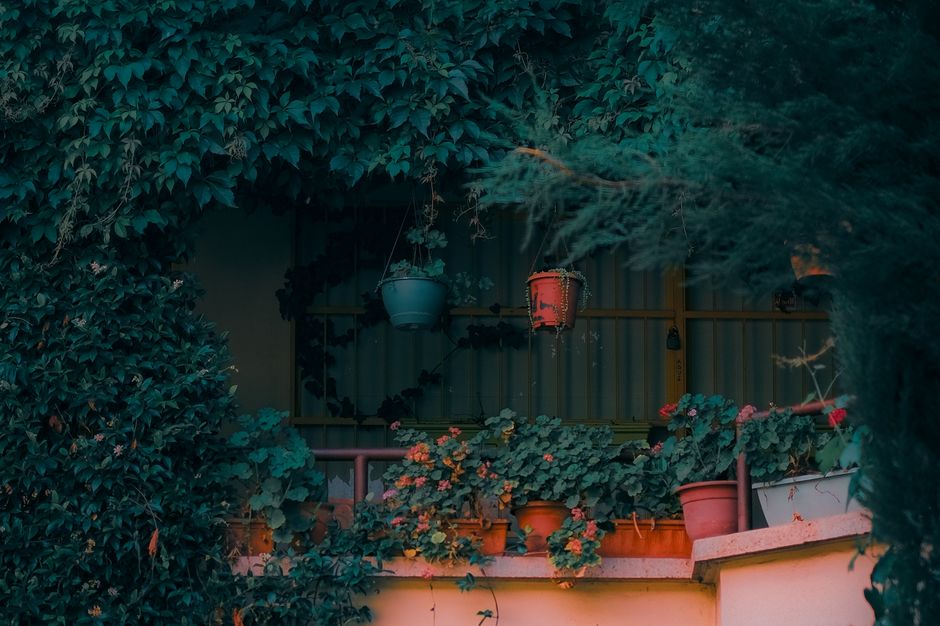 How Much Does Container Vegetables for Small Balconies Really Cost in 2026? Budget & Gear