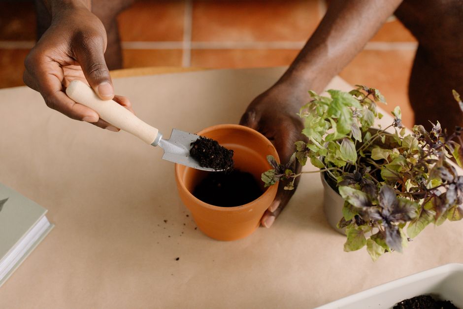 How Much Does Potting Soil Mixes & Organic Feeding Really Cost in 2026? Budget & Gear