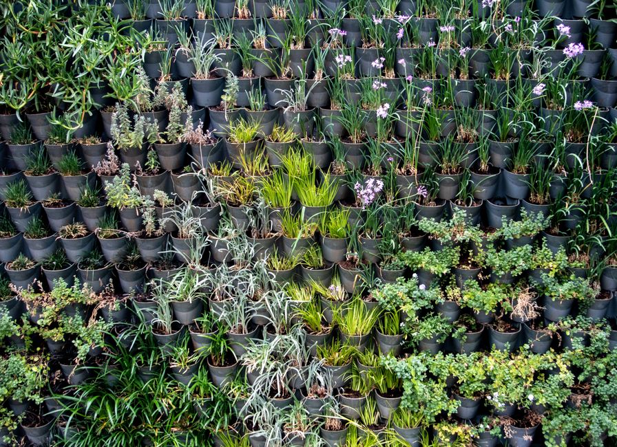 How Much Does Vertical Planters & Trellis Setup Really Cost in 2026? Budget & Gear
