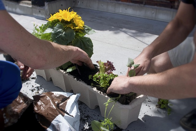My Field Guide to Container Vegetables for Small Balconies : What Actually Works