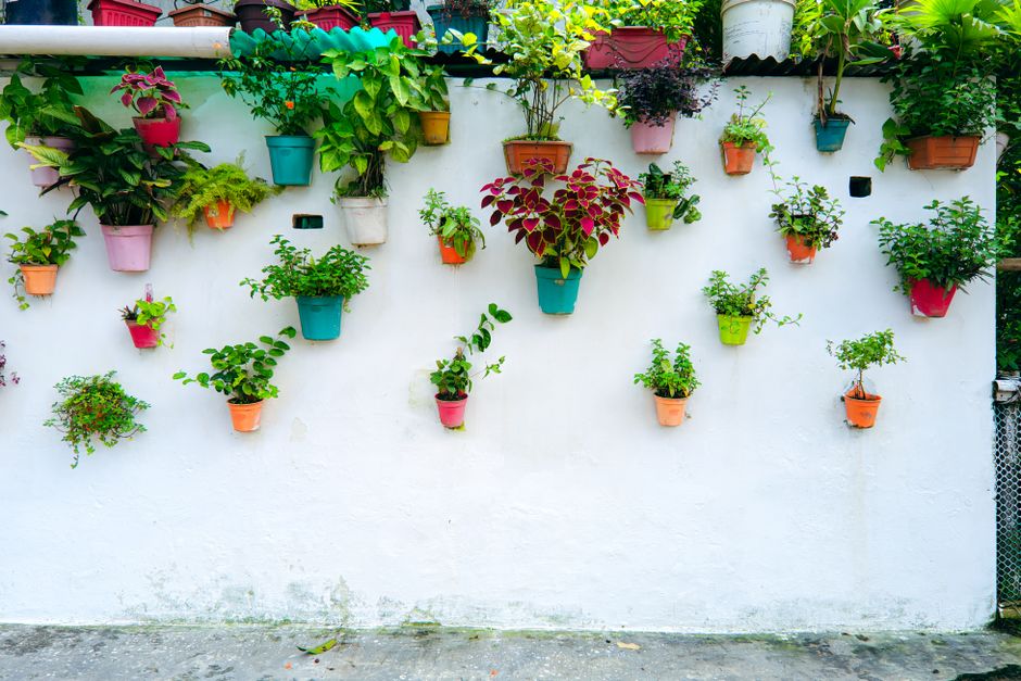 My Golden Rules for Vertical Planters & Trellis Setup That Never Let Me Down