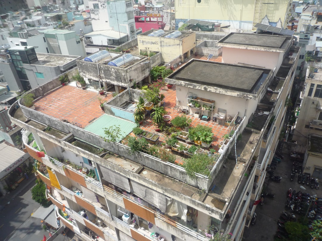 My Step-by-Step Blueprint for Container Vegetables for Small Balconies