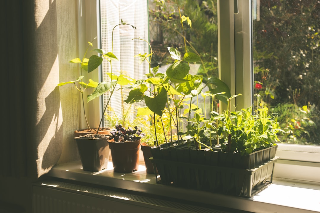 The Best Tools & Supplies I Actually Use for Container Vegetables for Small Balconies