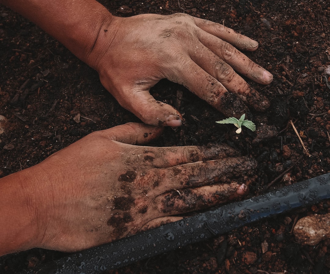 The Best Tools & Supplies I Actually Use for Potting Soil Mixes & Organic Feeding