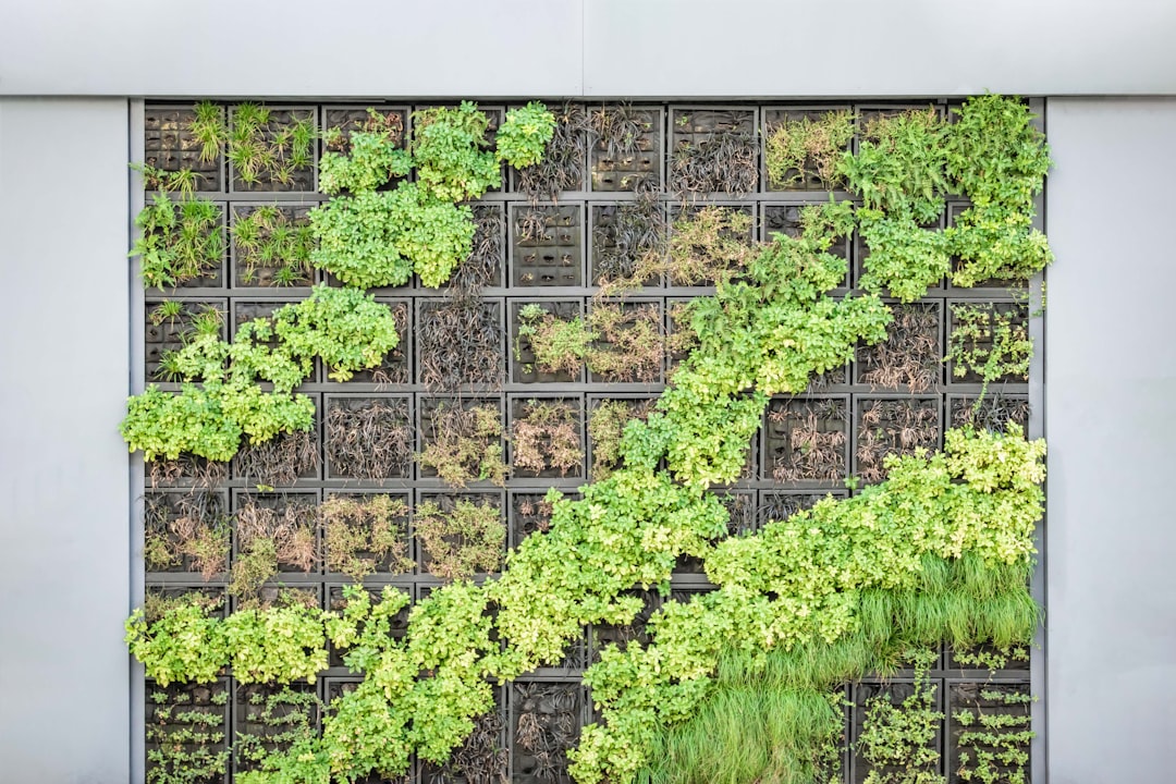 The Best Tools & Supplies I Actually Use for Vertical Planters & Trellis Setup