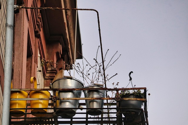 Troubleshooting Container Vegetables for Small Balconies : Diagnosing and Fixing Problems
