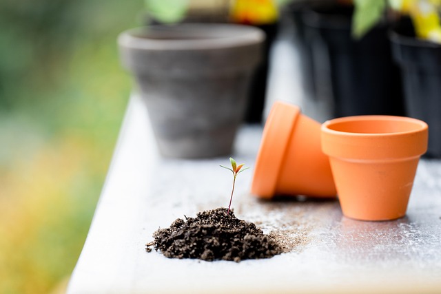 Troubleshooting Potting Soil Mixes & Organic Feeding : Diagnosing and Fixing Problems